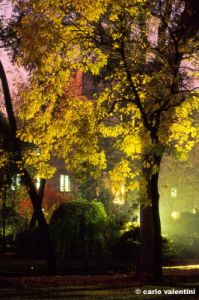 giardino_semplici156_07