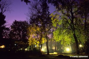 giardino_semplici156_13