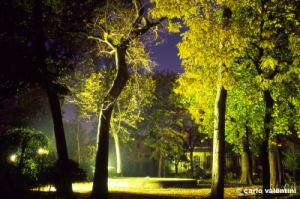 giardino_semplici156_17