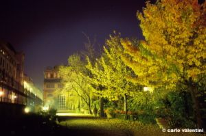 giardino_semplici156_19