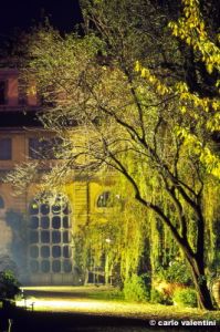 giardino_semplici156_22