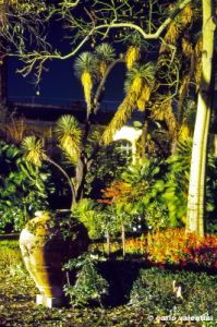 giardino_semplici156_27