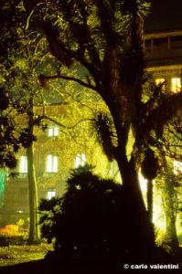 giardino_semplici156_32