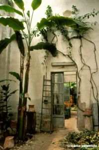 giardino_semplici206_41