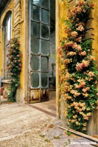giardino_semplici206_42