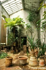 giardino_semplici206_46