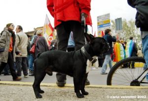 manifestazione_socialforum37