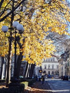 piazza_azeglio029