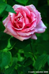 princess_margaret1