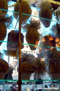 rivoire_pasqua07