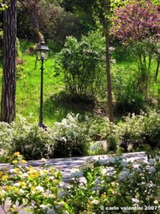 viale_dei_colli029
