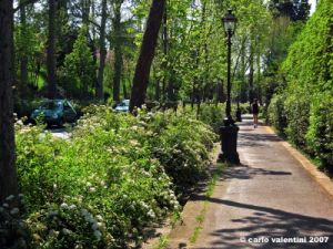 viale_dei_colli032