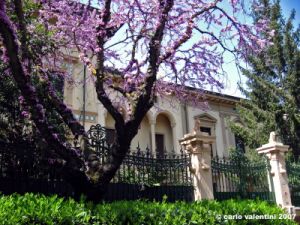 viale_dei_colli035