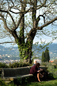 viale_dei_colli2