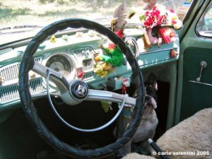 volkswagen2