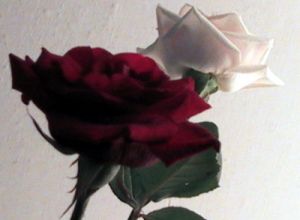rose_mazzo8