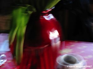 tulipani06