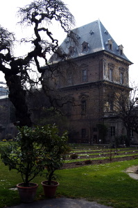 torino_orto_botanico1