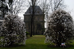 torino_orto_botanico2