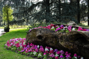 torino_parco_valentino14