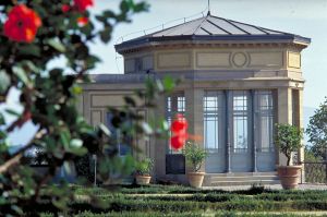 villa_petraia269_5.jpg