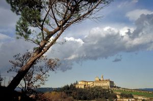 certosa1070_44