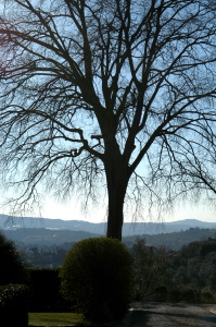 arcetri3_030324