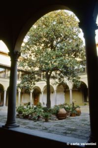 badia_fiesolana329_44