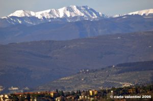 firenze10