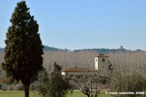 firenze18