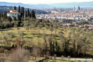 firenze19