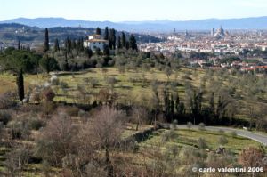 firenze21