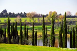 firenze228_16
