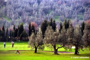 firenze228_40