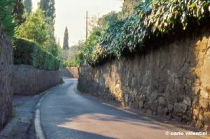 firenze826_43
