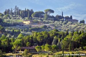 firenze_da_giogoli02