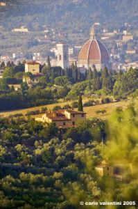 firenze_da_giogoli06