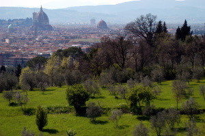 firenze_da_settignano1