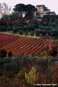 firenze_sud02