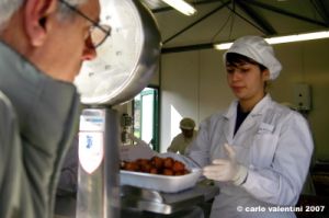 frittelle04