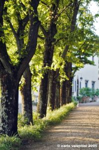 giogoli_villa_martelli03