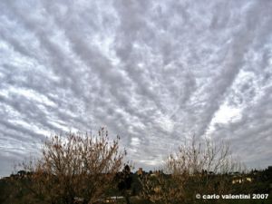 marignolle2