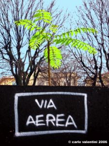 piazza_bartali01_061218