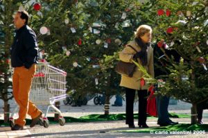 piazza_bartali05