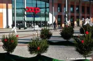 piazza_bartali09