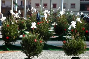 piazza_bartali11
