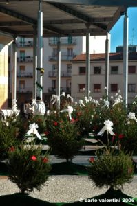 piazza_bartali12