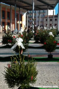 piazza_bartali13