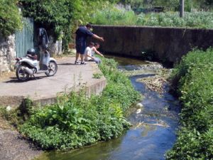 ponticino_villamagna02