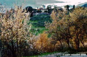 primavera_rovezzano2